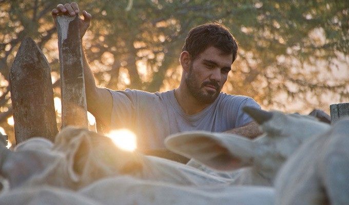 Review: Gabriel Mascaro’s Auspicious, Original, And Absorbing 'Neon Bull'