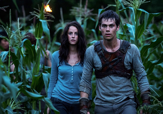 The Maze Runner (2014) directed by Wes Ball • Reviews, film + cast •  Letterboxd