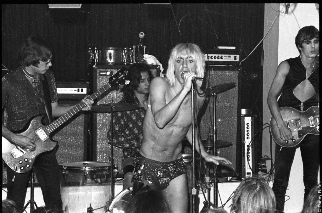 Gimme Danger 2