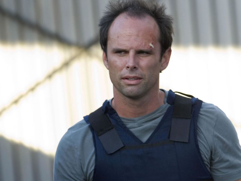 shield-shane-walton-goggins