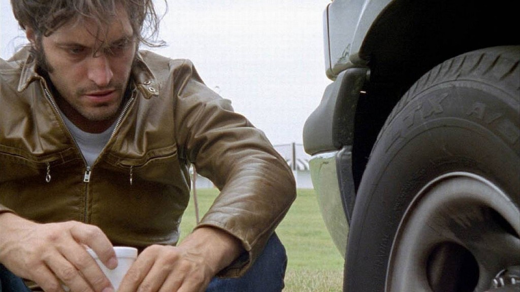 The Brown Bunny Vincent Gallo