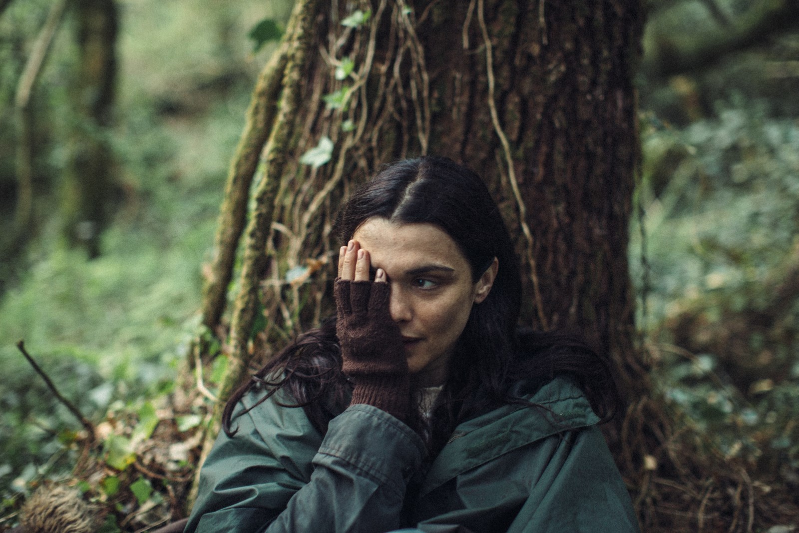 The Lobster Yorgos Lanthimos, Colin Farrell 8