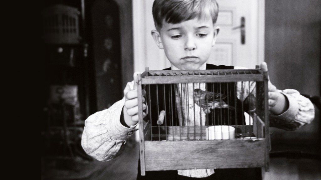 The White Ribbon Michael Haneke