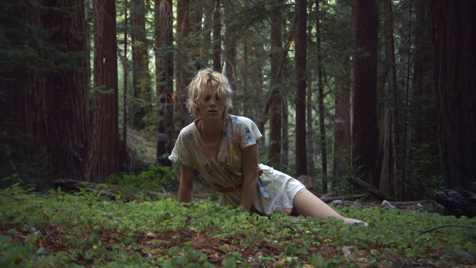 Mackenzie Davis, Always Shine