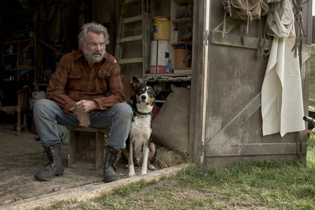 hunt-for-the-wilderpeople-2
