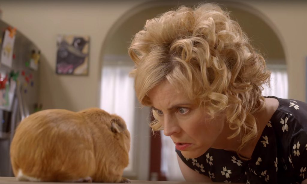 lady-dynamite