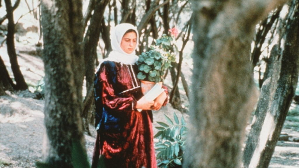 THROUGH THE OLIVE TREES / UNDER THE OLIVE TREES