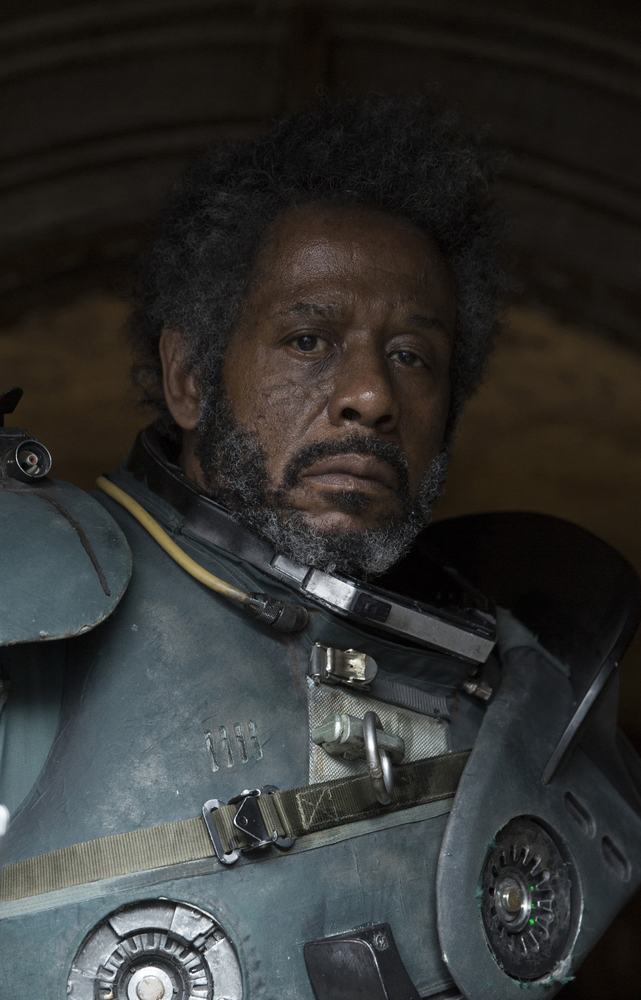 star-wars-rogue-one-diego-luna-riz-ahmed-donnie-yen-ben-mendhelson-dark-troopers-felicity-jones-storm-troopers-gareth-edwards-AN1-211337_R-min