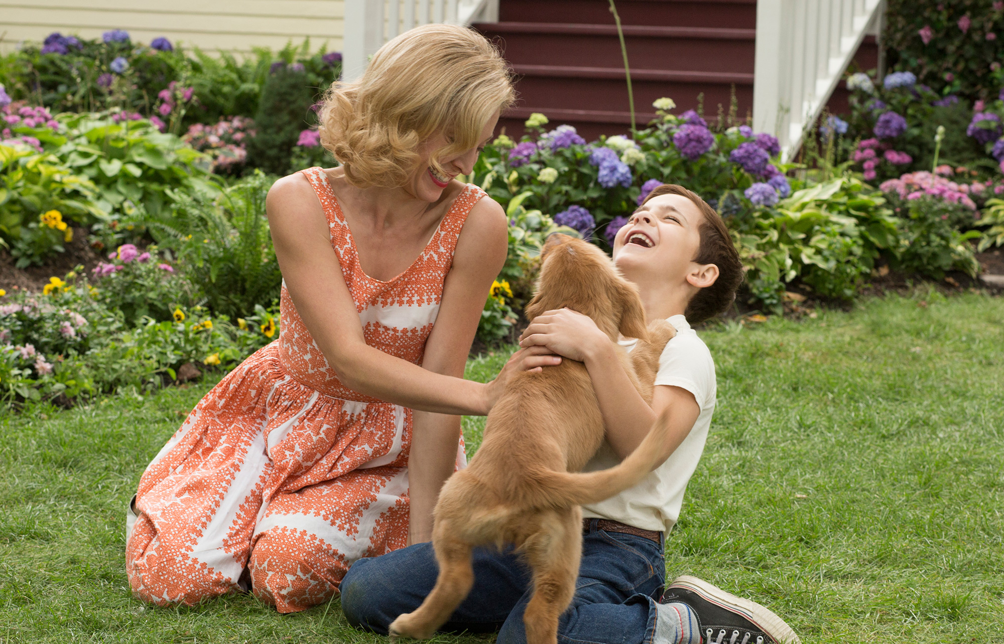 Dogs-Purpose-laugh