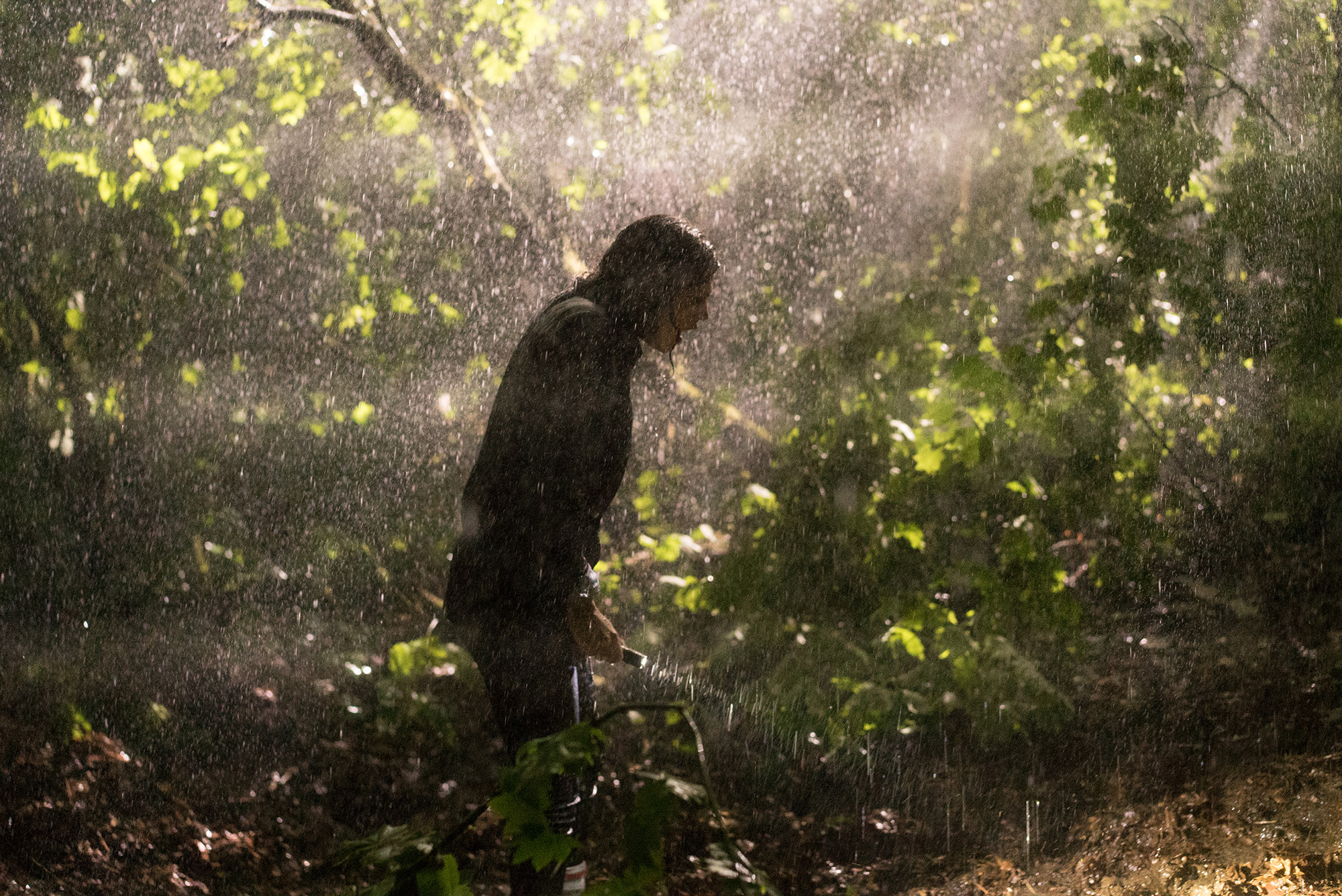 blairwitch_still_02