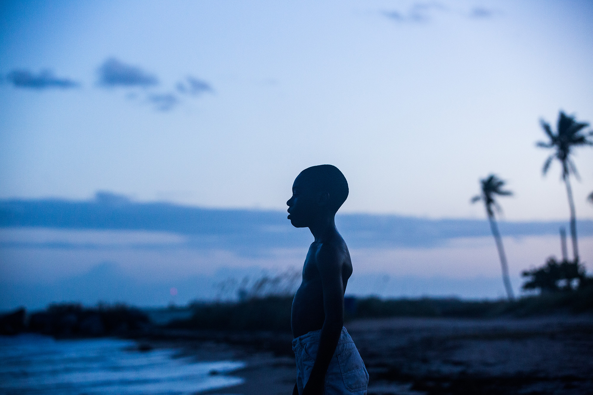 Moonlight,-by-David-Bornfriend,-Courtesy-of-A24