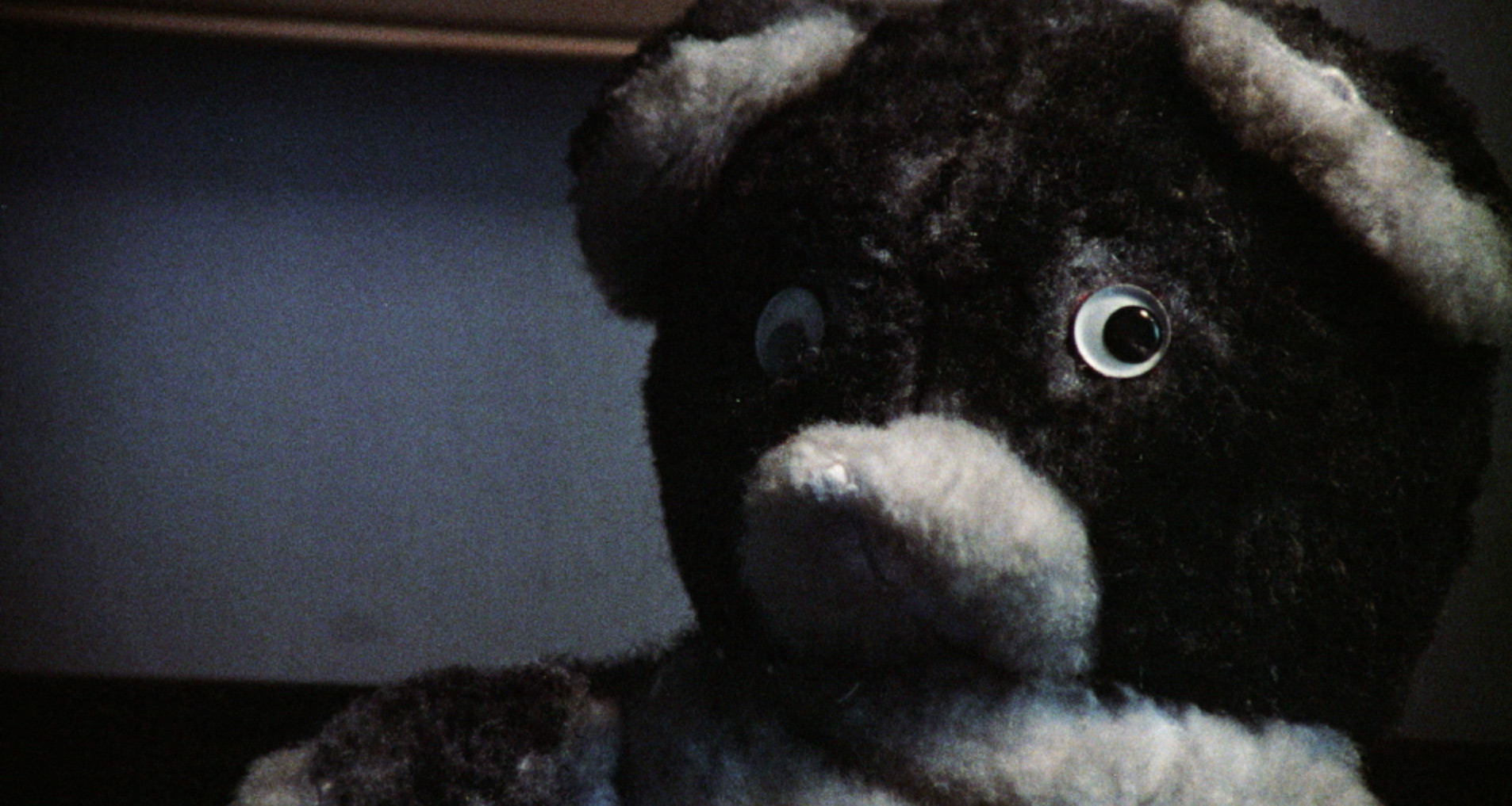 the-pit-teddycloseup
