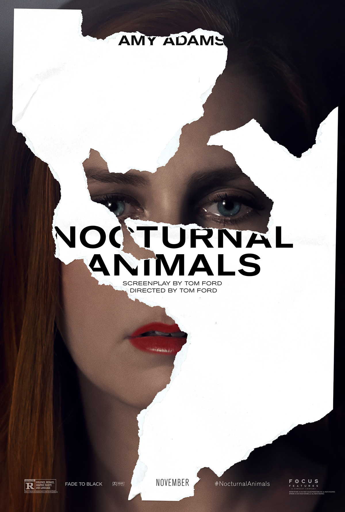 Nocturnal-animals-Amy-Adama-RGB_F3.0