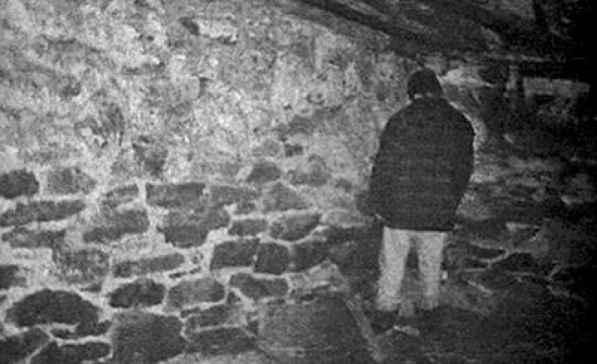 blair-witch-project