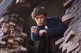 ‘Fantastic Beasts’ Star Eddie Redmayne Speaks Out Against Transphobic Tweets From J.K. Rowling