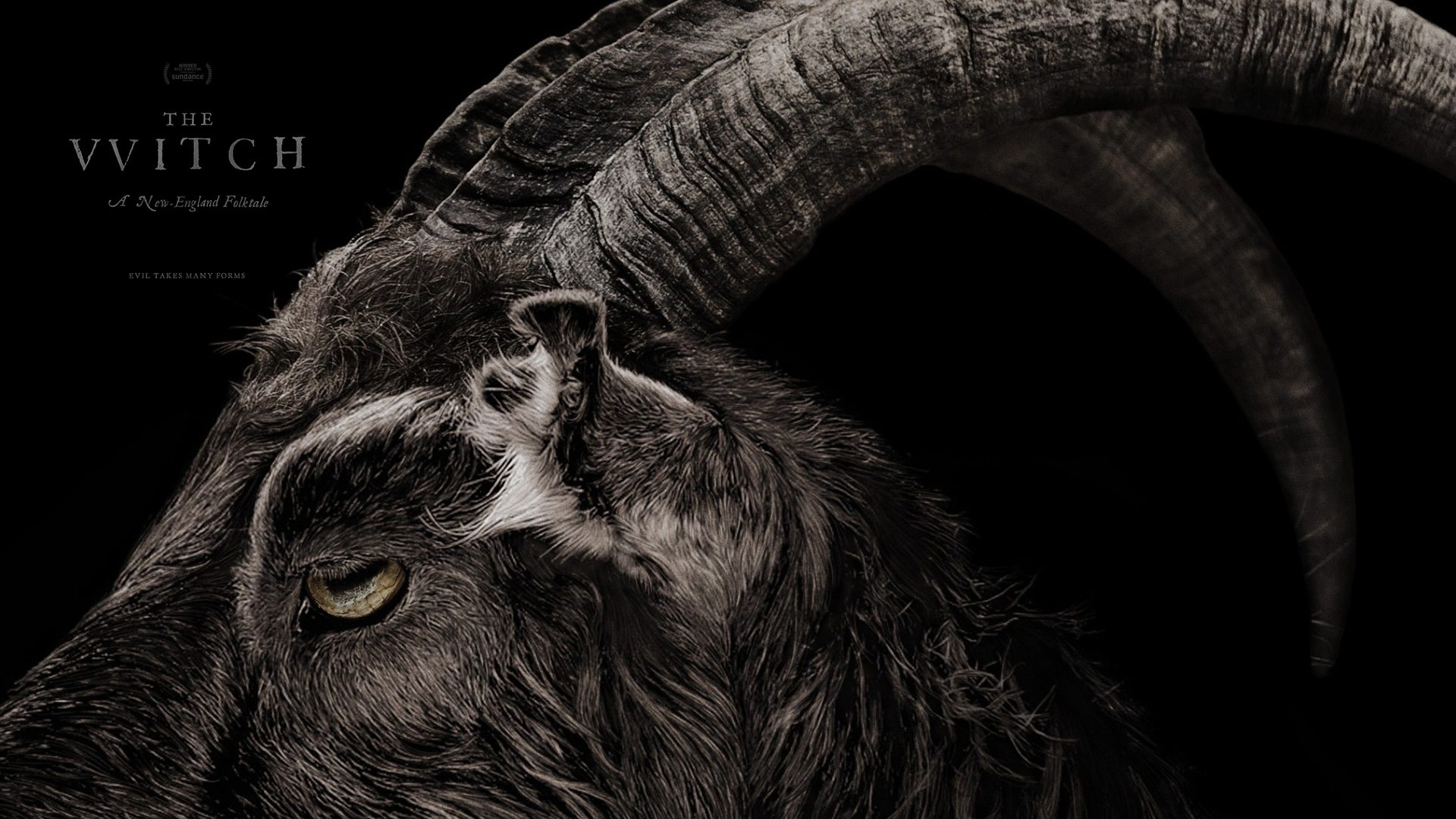 the-witch-movie-2016-film-wallpaper-hd-exclusive-goat