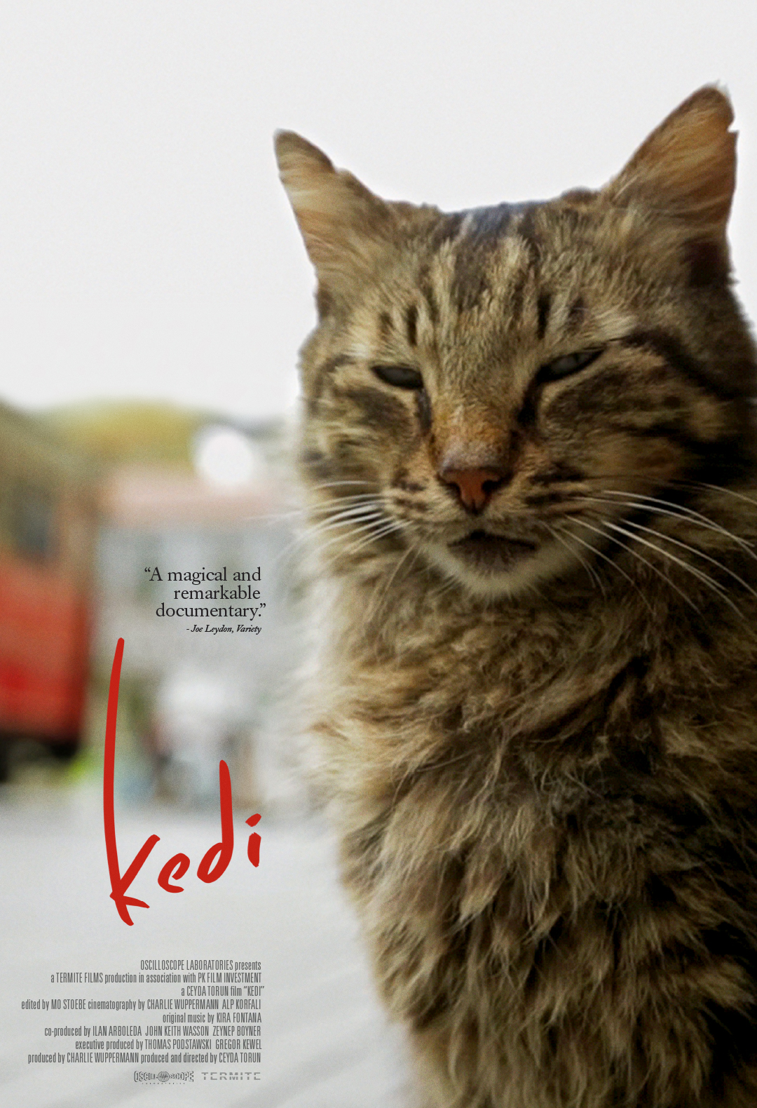 kedi_onesheet_1080x1580