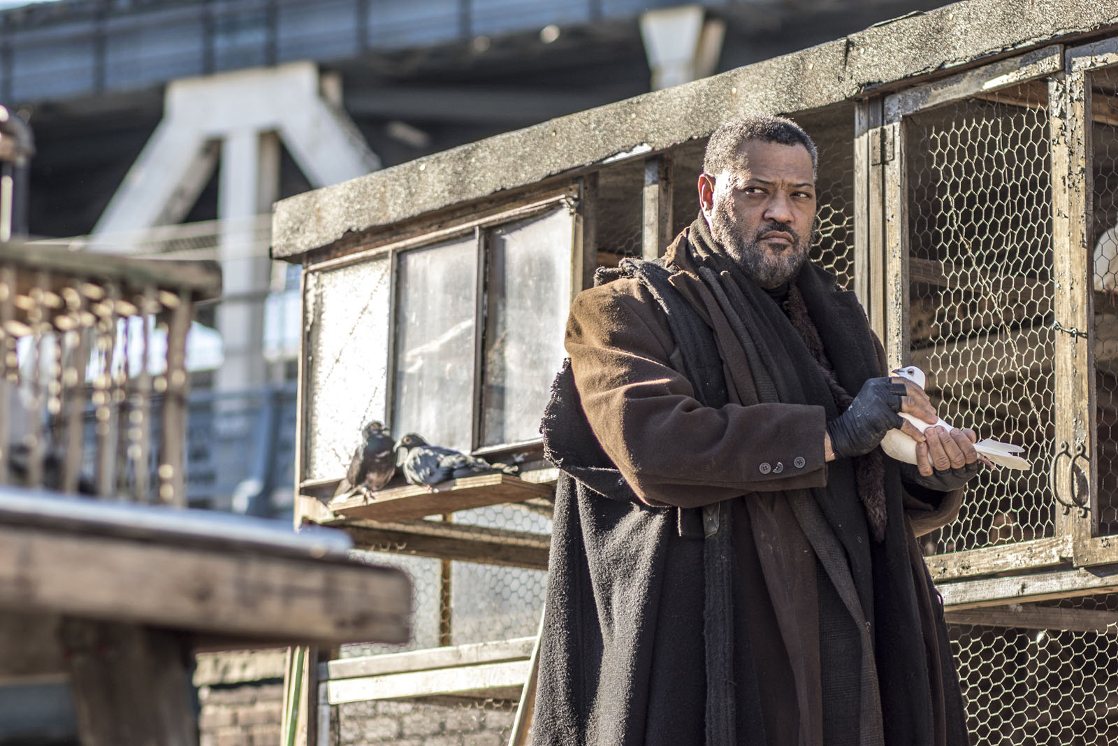JW2_D31_2586.cr2