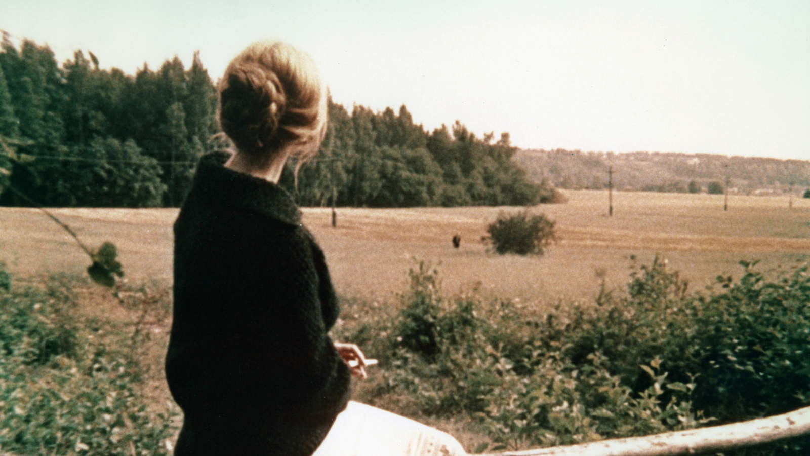the mirror- andrei tarkovsky