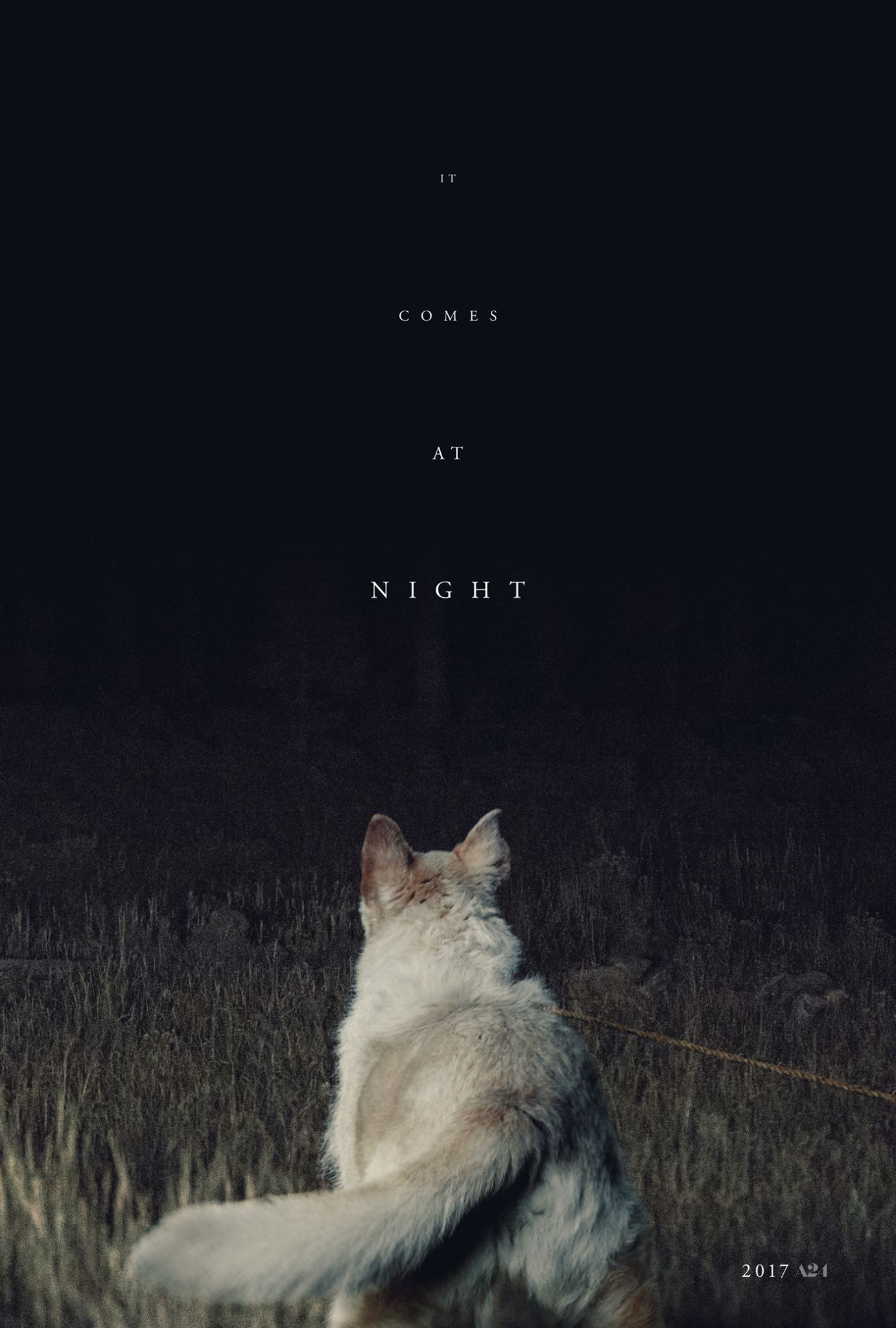 it_comes_at_night_xxlg