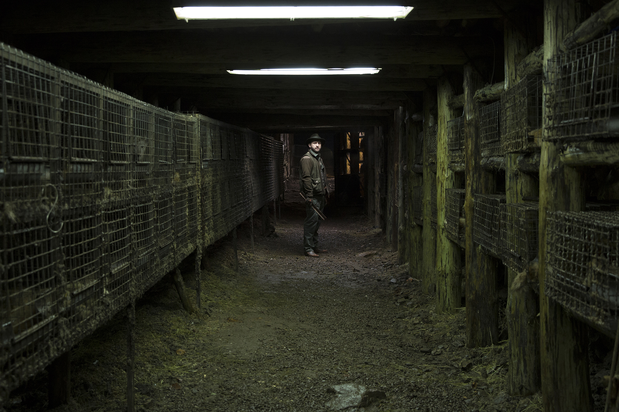 Spoor