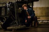‘Harry Potter’ Comes To America In Honest Trailer For ‘Fantastic Beasts And Where To Find Them’