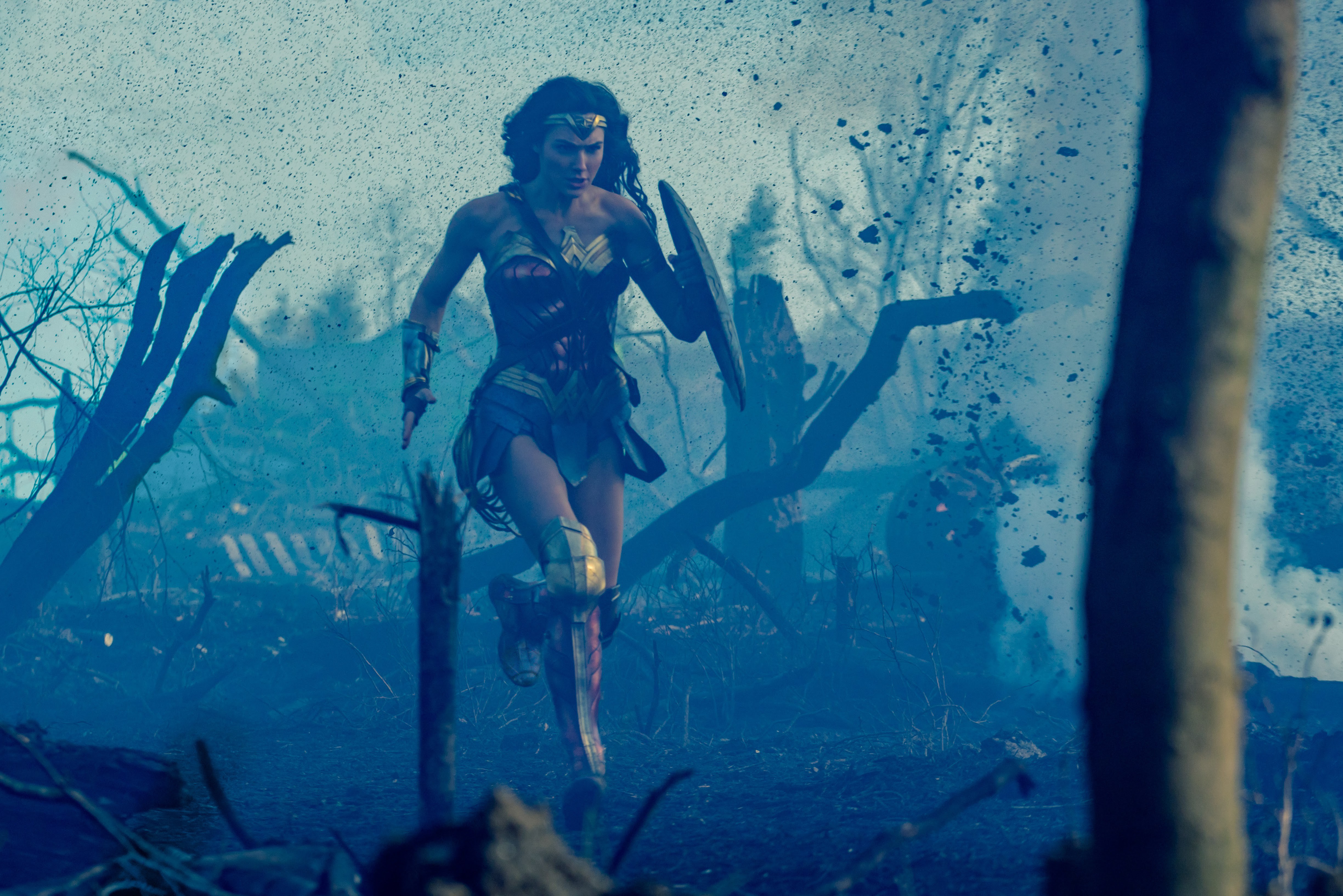 wonder woman gal gadot WW-13686r