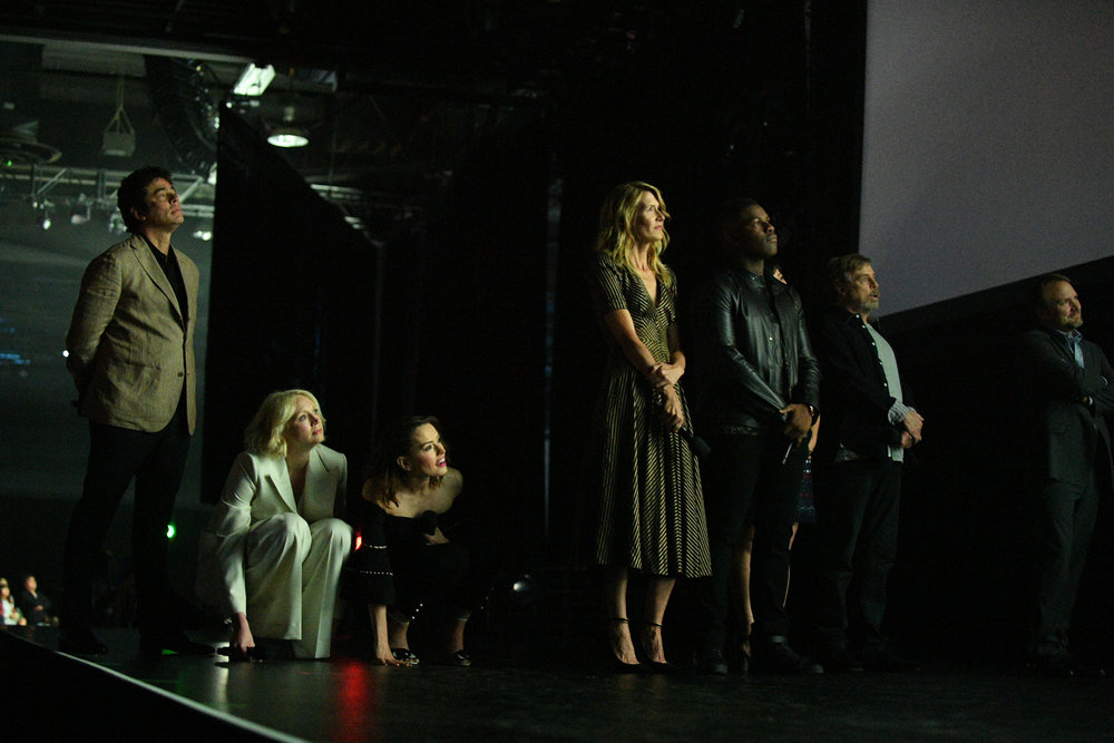 BENICIO DEL TORO, GWENDOLINE CHRISTIE, DAISY RIDLEY, LAURA DERN, JOHN BOYEGA, MARK HAMILL, RIAN JOHNSON