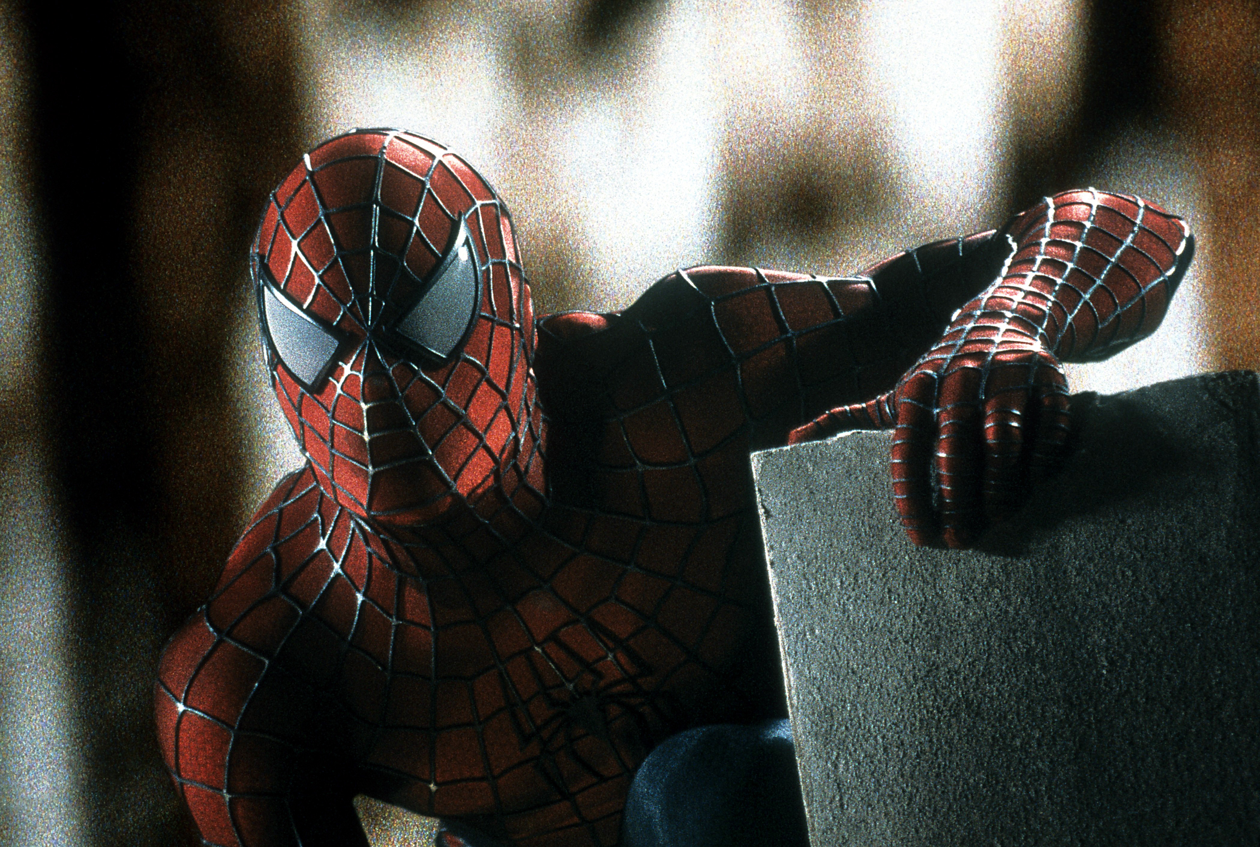 Tobey Maguire The Spider-Man