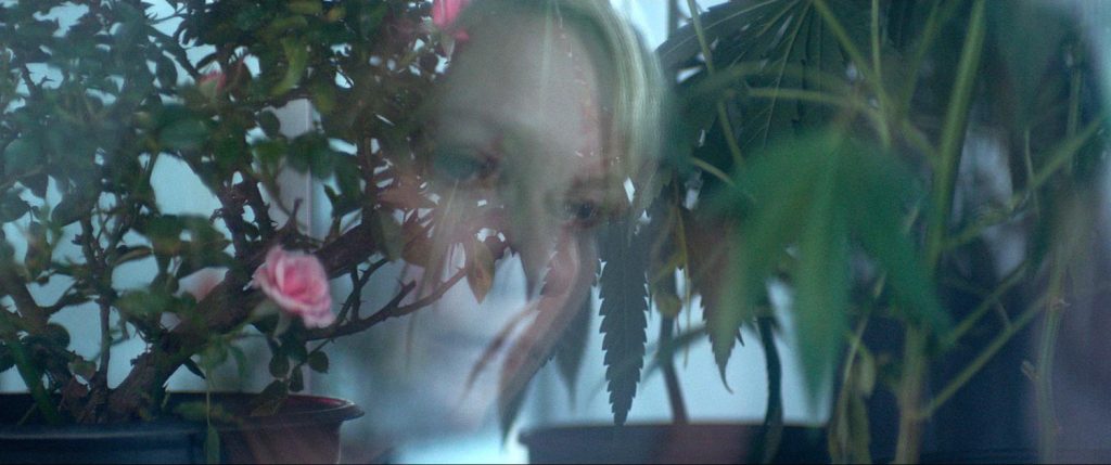 Woodshock__4_