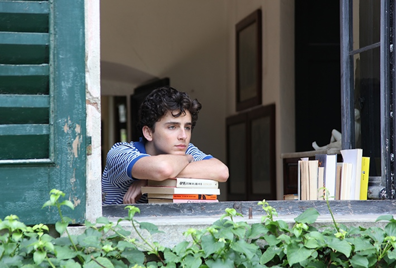 timothee chamelet call name by your name