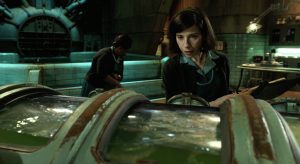 shape-of-water-sally-hawkins