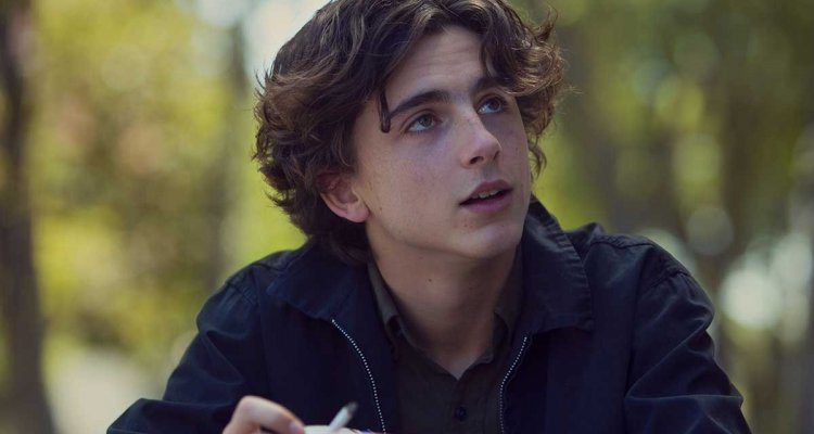Timothée Chalamet Wants You to Know That He Wasn't Wearing a