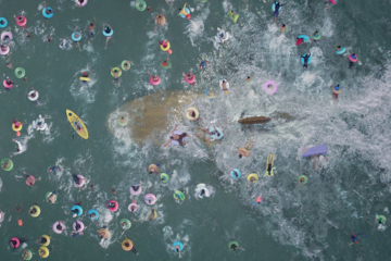 The Meg