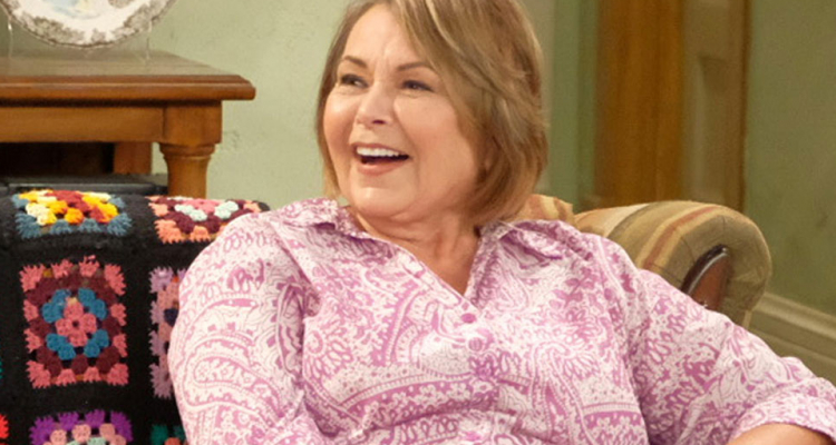 Roseanne Barr abc sitcom