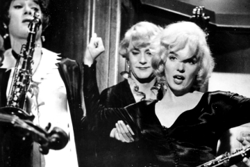 Some Like It Hot Criterion