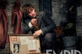 ‘Fantastic Beasts: The Crimes of Grindelwald’ Is A Magical & Surprisingly Relevant Addition To The Wizarding World [Review]