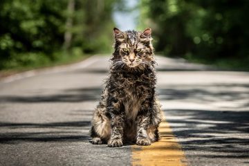 pet sematary trailer