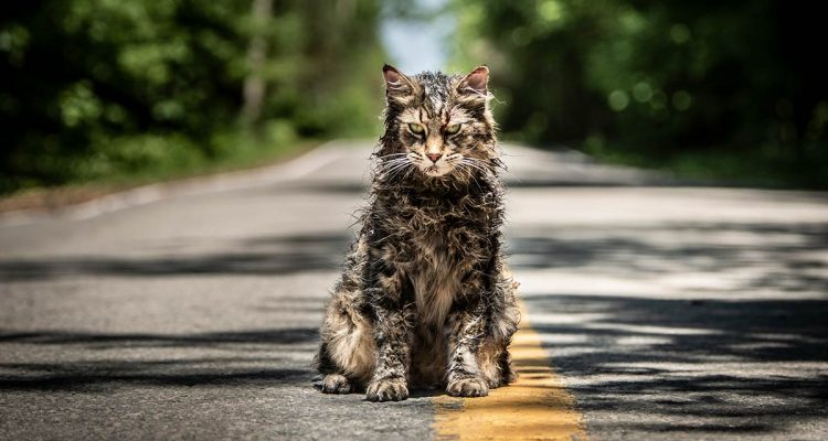 pet sematary trailer