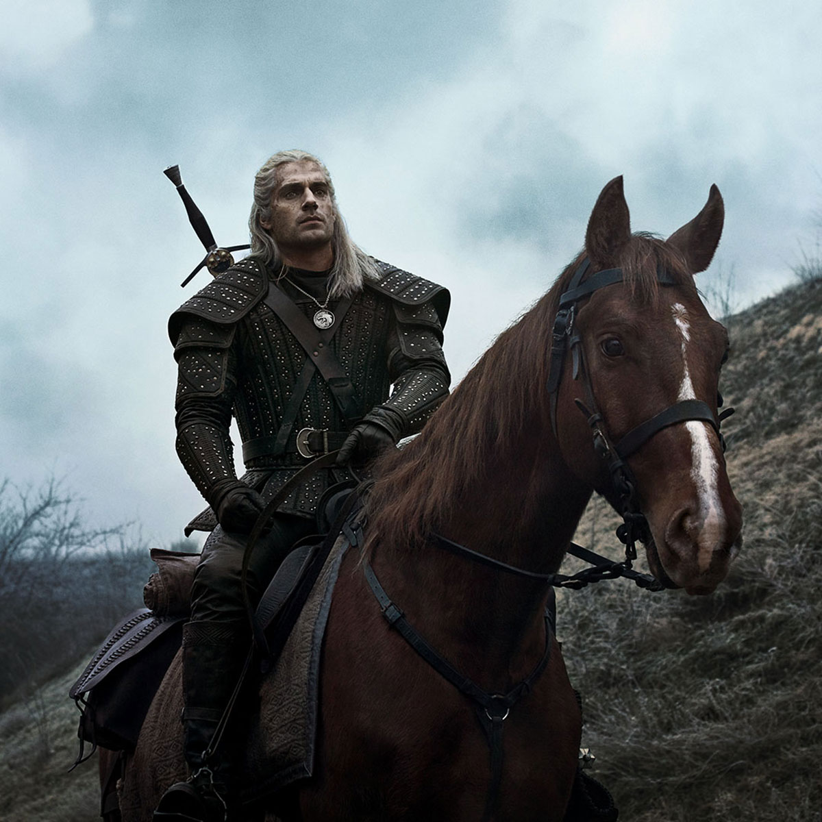 The Witcher