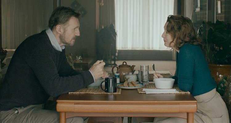 Ordinary Love LIam Neeson Lesley Manville