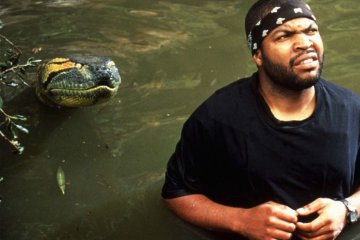 Anaconda Ice Cube