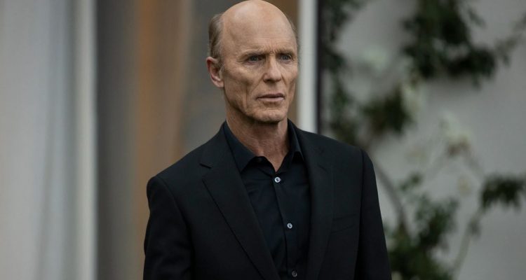 Ed Harris Westworld