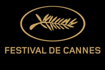 Cannes Venice Collaboration