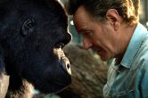 ‘The One And Only Ivan’ Trailer: Bryan Cranston Is Best Friends With A Gorilla In A Heartwarming Adventure For Disney+