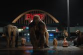 ‘The One And Only Ivan’: An All-Star Cast Leads This Emotional, Sweet Children’s Film [Review]