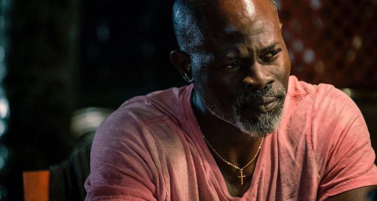 Djimon Hounsou To Star In Tony Kaye's 'African History Y'