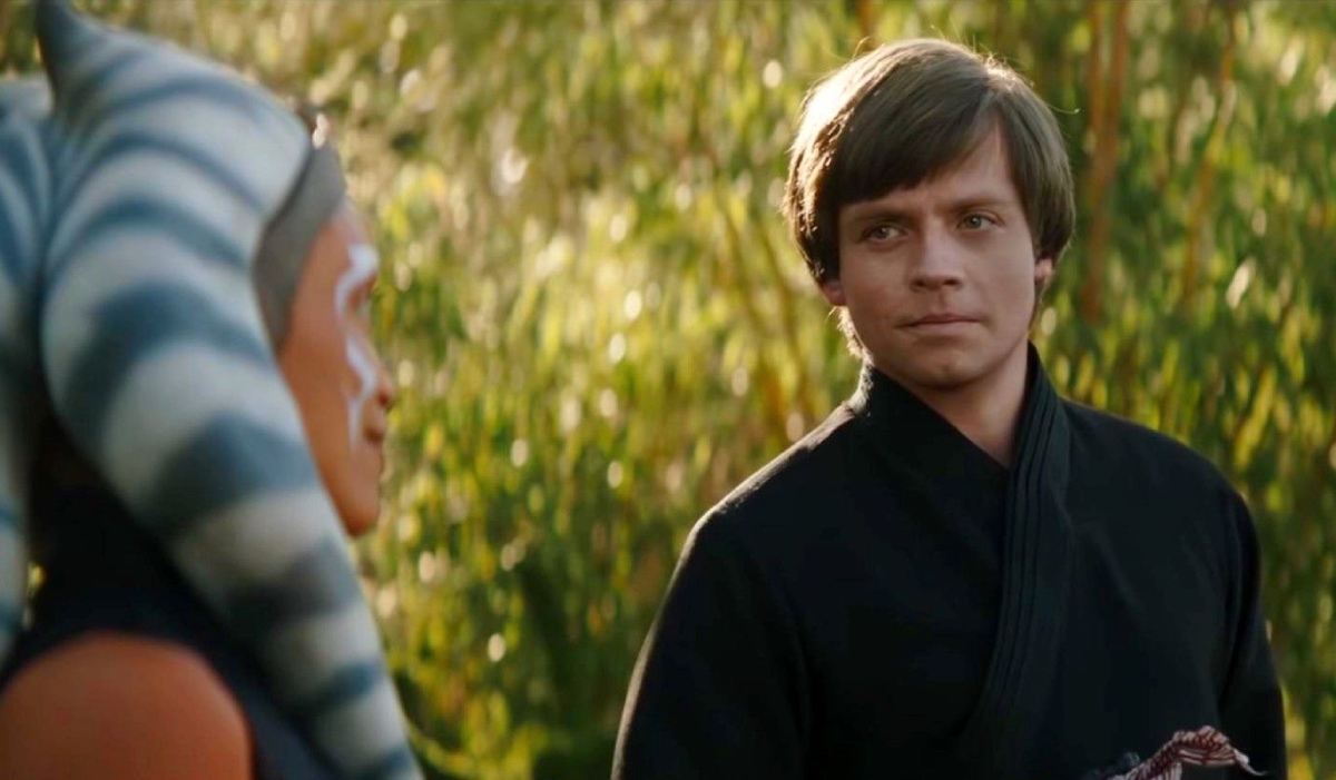 Mark Hamill Blesses Our Day, Gives His Blessing To Young Luke Skywalker  Actor
