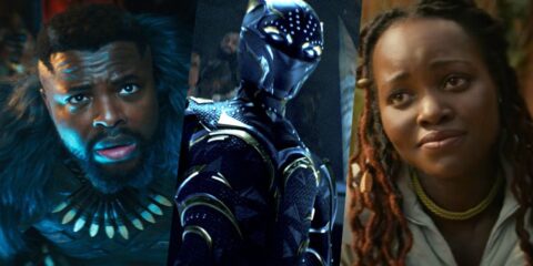 Black Panther Wakanda Forever Alternatives