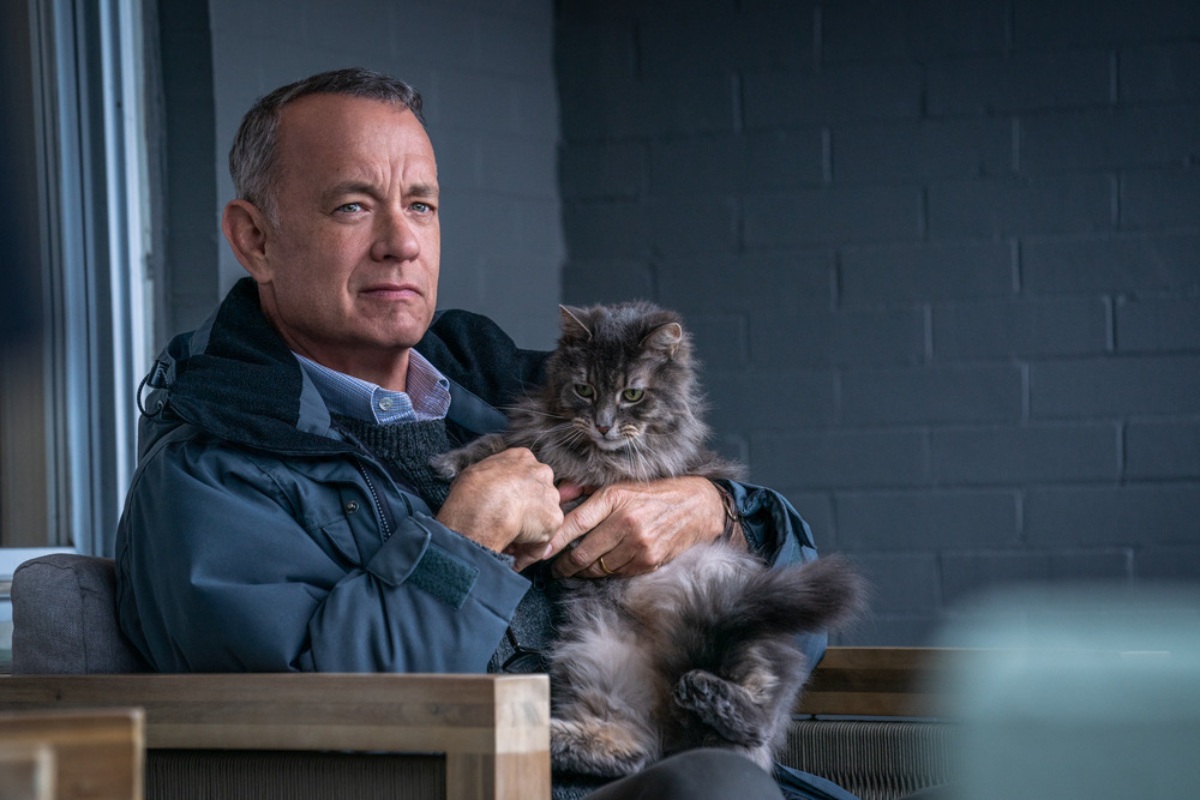 New 'A Man Called Otto' Trailer: Marc Forster's Latest With Tom Hanks Hits  Theaters On January 13